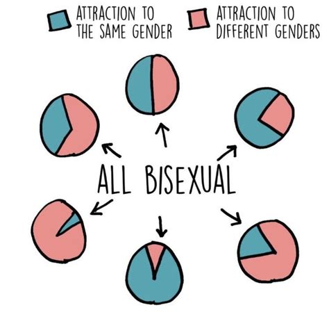 semibisexual meaning